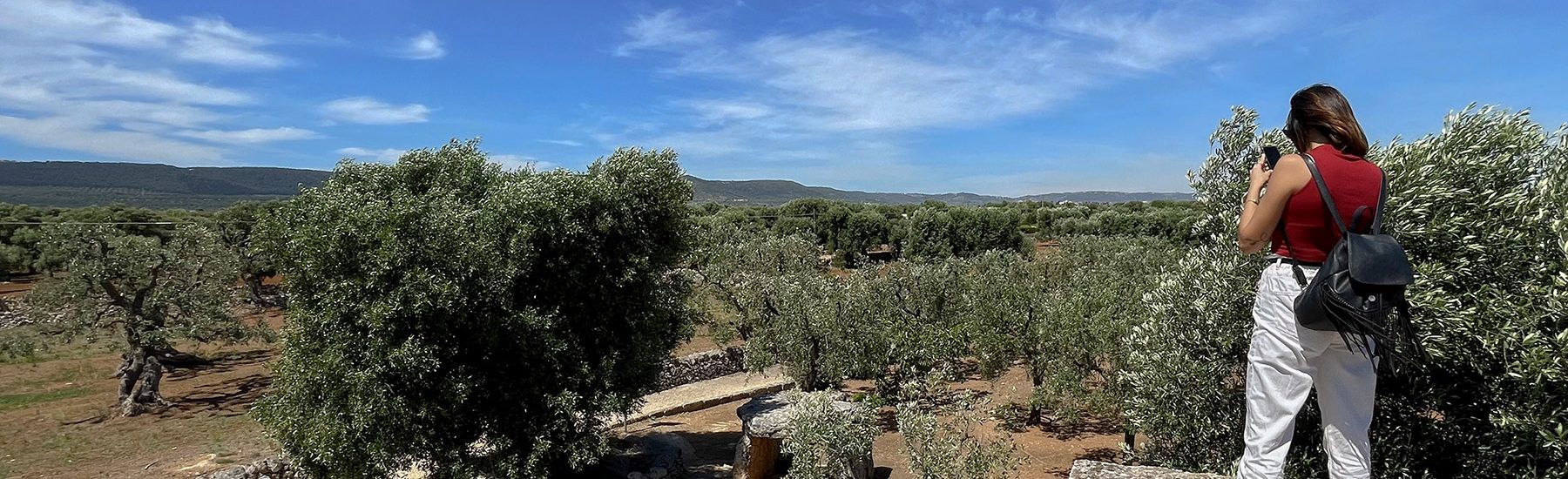 Campagna piena di ulivi con ragazza che scatta foto dal tetto di trullo in Valle d'Itria