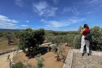 Campagna piena di ulivi con ragazza che scatta foto dal tetto di trullo in Valle d'Itria