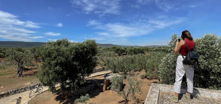 Campagna piena di ulivi con ragazza che scatta foto dal tetto di trullo in Valle d'Itria