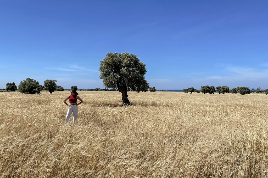 Savana Pugliese in Valle d'Itria